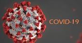 covid virus