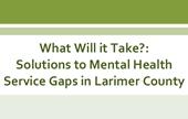 Mental Health Service Gap Report cover