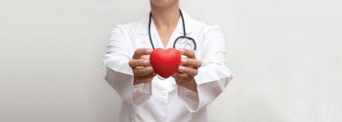 Medical professional holding heart