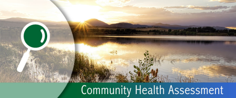 Community Health Assessment - access the data banner