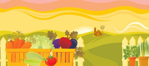 Healthy Eats: Fresh finds at local farmers' markets | Health District of  Northern Larimer County