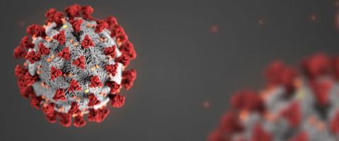 COVID virus image